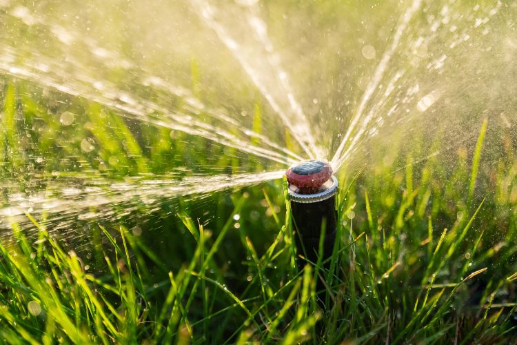 irrigation system 4 - What You Should Know About An Irrigation System As A Home Owner
